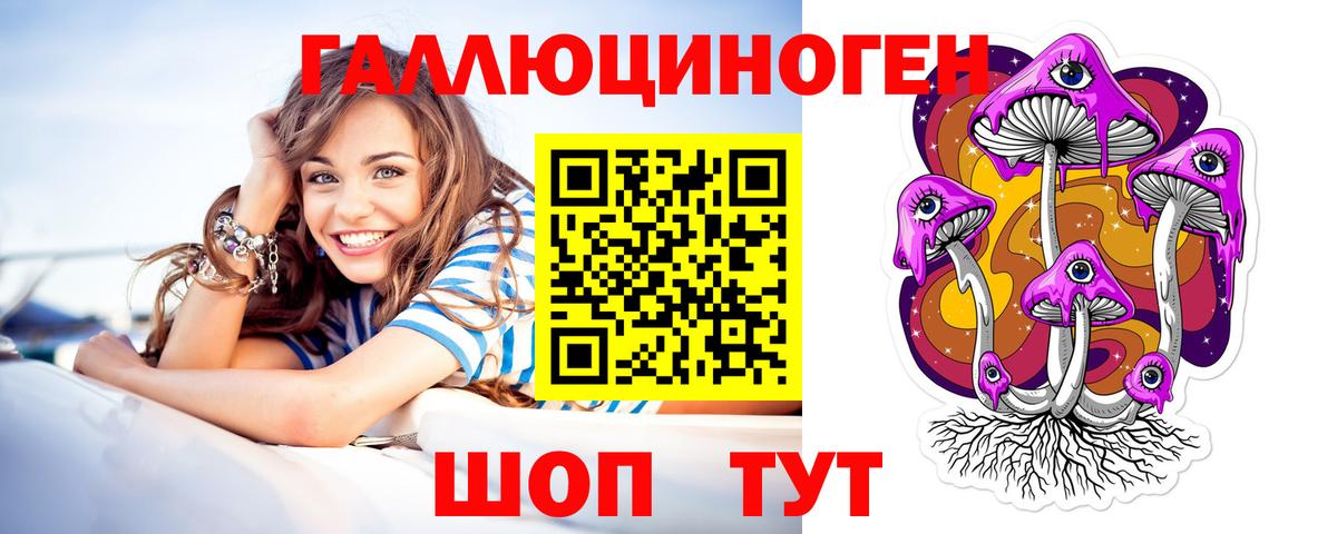 Галлюциногенные грибы Psilocybe Северск