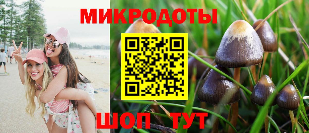 Псилоцибиновые грибы мухоморы  Вход с VPN  Псилоцибиновые грибы прущие грибы  Северск 